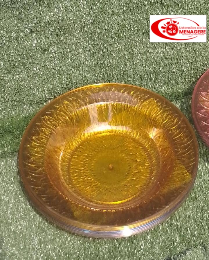 Douzaine de plats plastique 