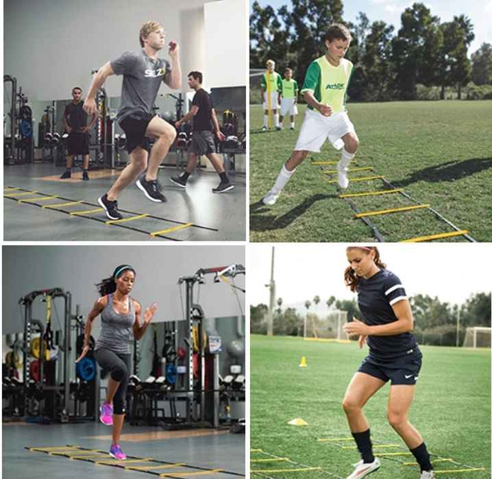 Échelle d'Entrainnement