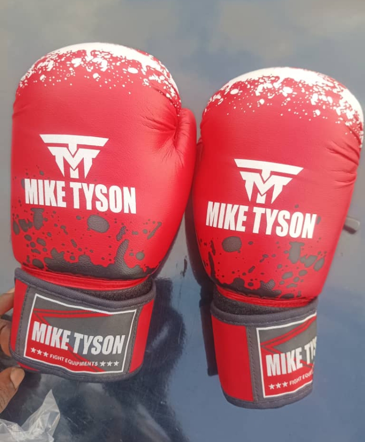 Gant de Boxe de Marque MIKE TYSON