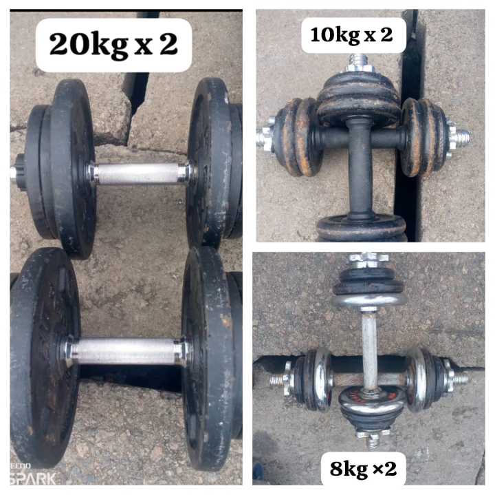 Halteres -Dumbell