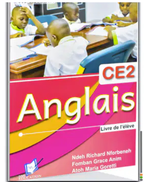 Livre les brillants en anglais-CE2