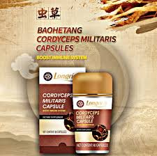 Cordyceps militaris capasules 